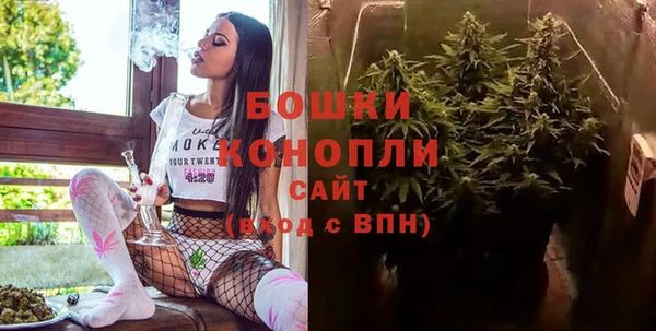 СК Арсеньев